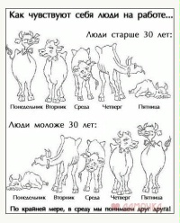 Халандовский Михаил Халандовский Михаил